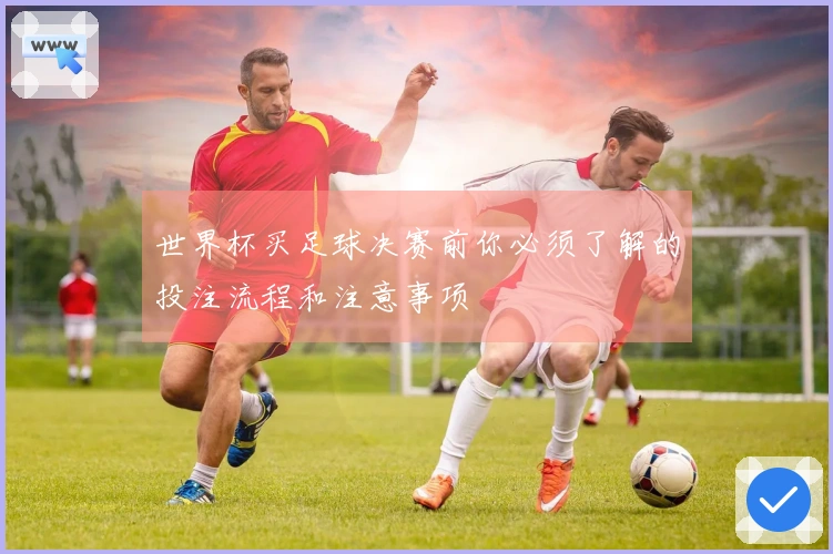 世界杯买足球决赛前你必须了解的投注流程和注意事项