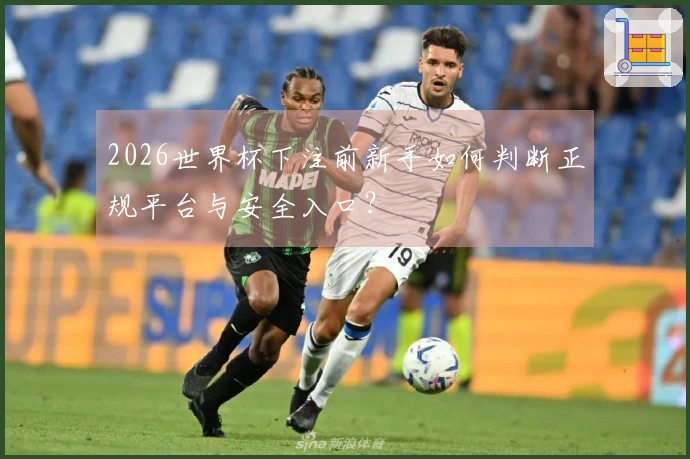 2026世界杯下注前新手如何判断正规平台与安全入口？